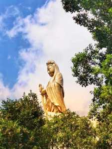 普陀山求什么最灵?普陀山求什么最灵验的缘由? 第2张 普陀山求什么最灵?普陀山求什么最灵验的缘由? 第2张