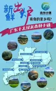恩平泉林黄金小镇温泉,江门恩平泉林黄金小镇好玩吗? 第5张 恩平泉林黄金小镇温泉,江门恩平泉林黄金小镇好玩吗? 第5张