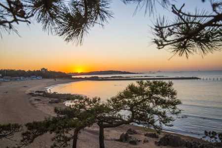 青岛旅游攻略必去景点?青海湖旅游攻略必去景点大全? 第4张 青岛旅游攻略必去景点?青海湖旅游攻略必去景点大全? 第4张