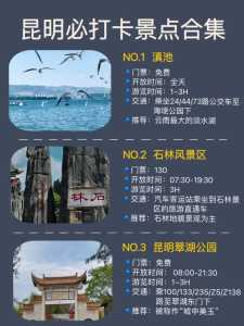 去云南旅游攻略详细?去云南旅游攻略怎么做? 第2张 去云南旅游攻略详细?去云南旅游攻略怎么做? 第2张