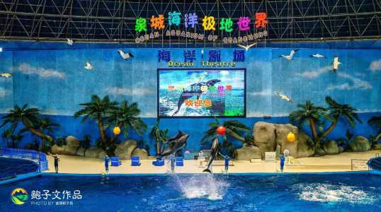 泉城极地海洋世界门票多少钱,泉城极地海洋世界门票优惠 第1张 泉城极地海洋世界门票多少钱,泉城极地海洋世界门票优惠 第1张