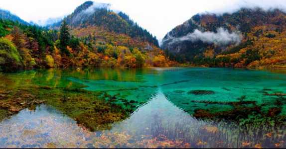 成都九寨沟旅游纯玩团费用，成都九寨沟旅游纯玩团费用是多少  第4张