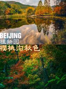 北京植物园门票官方网站,北京植物园网上预约门票? 第2张 北京植物园门票官方网站,北京植物园网上预约门票? 第2张