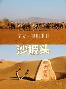 沙坡头景区图片?沙坡头景区图片有哪些项目? 第3张 沙坡头景区图片?沙坡头景区图片有哪些项目? 第3张
