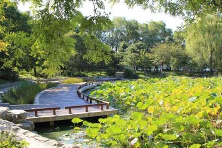 北京朝阳区旅游景点大全排名,北京必去的前十景点免费景点? 第4张 北京朝阳区旅游景点大全排名,北京必去的前十景点免费景点? 第4张