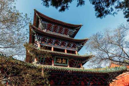 郑州旅游攻略景点必去?郑州旅游必去景点推荐? 第3张 郑州旅游攻略景点必去?郑州旅游必去景点推荐? 第3张