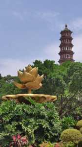 番禺莲花山图片,番禺莲花山图片最新 第3张 番禺莲花山图片,番禺莲花山图片最新 第3张