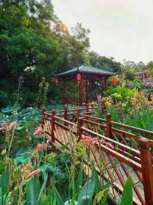 番禺莲花山图片,番禺莲花山图片最新 第5张 番禺莲花山图片,番禺莲花山图片最新 第5张