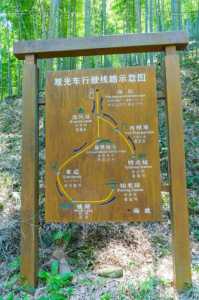 竹海风景区在哪里,川西竹海风景区在哪里 第3张 竹海风景区在哪里,川西竹海风景区在哪里 第3张