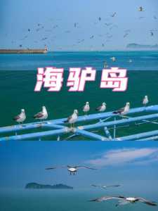 威海海驴岛好玩吗,威海海驴岛好玩吗? 第1张 威海海驴岛好玩吗,威海海驴岛好玩吗? 第1张