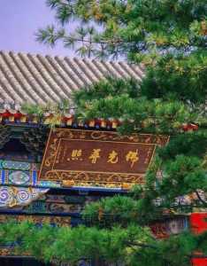 沈阳旅游景点大全排名?沈阳旅游景点大全排名榜最新? 第1张 沈阳旅游景点大全排名?沈阳旅游景点大全排名榜最新? 第1张