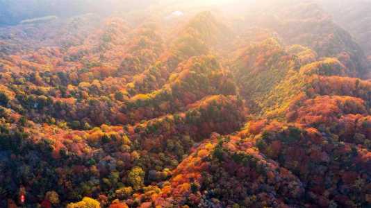四川光雾山旅游攻略?四川光雾山旅游攻略最新路线? 第1张 四川光雾山旅游攻略?四川光雾山旅游攻略最新路线? 第1张