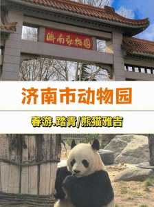 济南动物园门票多少钱,济南动物园门票多少钱学生票? 第4张 济南动物园门票多少钱,济南动物园门票多少钱学生票? 第4张