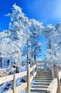 西岭雪山现在有雪吗?西岭雪山现在有雪吗2023年3月? 第2张 西岭雪山现在有雪吗?西岭雪山现在有雪吗2023年3月? 第2张