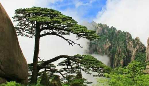 黄山旅游什么时候去比较好,黄山旅游什么时候去比较好看 第2张 黄山旅游什么时候去比较好,黄山旅游什么时候去比较好看 第2张