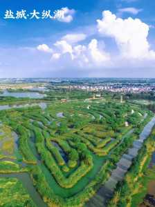 盐城景点哪里值得旅游,盐城景点哪里值得旅游景点? 第4张 盐城景点哪里值得旅游,盐城景点哪里值得旅游景点? 第4张