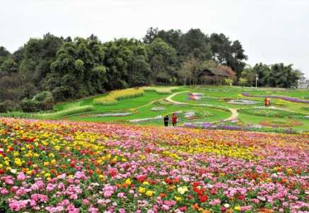 成都石象湖景区,成都石象湖景区几月去合适 第2张 成都石象湖景区,成都石象湖景区几月去合适 第2张