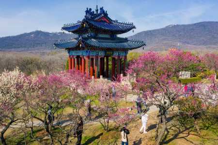南京9个小众好玩的地方,南京有哪些小众的旅游景点 第3张 南京9个小众好玩的地方,南京有哪些小众的旅游景点 第3张