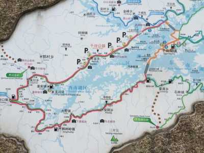 千岛湖开元度假村,千岛湖开元度假村和希尔顿哪个好 第6张 千岛湖开元度假村,千岛湖开元度假村和希尔顿哪个好 第6张