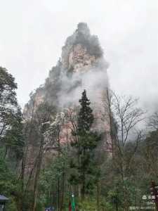 张家界前十景区,张家界前十景区排名榜? 第2张 张家界前十景区,张家界前十景区排名榜? 第2张