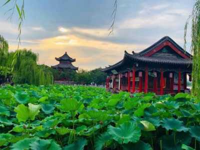 济南旅游景点大全哪里比较好玩,济南旅游景点有哪些好玩的地方 第2张 济南旅游景点大全哪里比较好玩,济南旅游景点有哪些好玩的地方 第2张