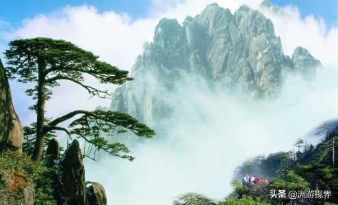黄山景点介绍加图片,黄山景物介绍? 第4张 黄山景点介绍加图片,黄山景物介绍? 第4张