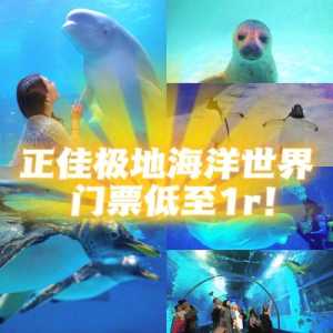 北海海底世界门票优惠政策,北海海底世界门票优惠政策有哪些 第1张 北海海底世界门票优惠政策,北海海底世界门票优惠政策有哪些 第1张