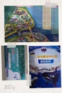 上海海昌海洋公园门票官方网站,上海海昌海洋公园门票包含游玩项目? 第3张 上海海昌海洋公园门票官方网站,上海海昌海洋公园门票包含游玩项目? 第3张