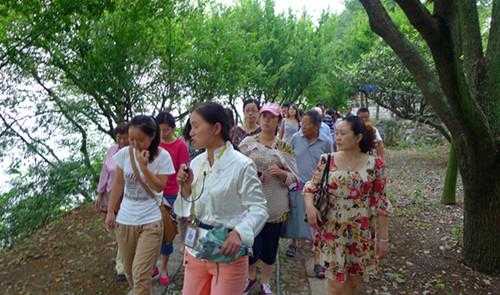全国旅游监管平台的导游入口?导游证考试报名时间2024官方网站? 第2张 全国旅游监管平台的导游入口?导游证考试报名时间2024官方网站? 第2张