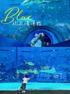 附近哪里有海底世界,附近哪里有海底世界免费的 第1张 附近哪里有海底世界,附近哪里有海底世界免费的 第1张