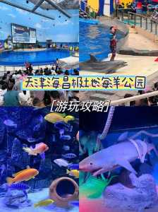 天津海昌极地海洋世界游玩攻略,天津海昌极地海洋世界团购门票 第2张 天津海昌极地海洋世界游玩攻略,天津海昌极地海洋世界团购门票 第2张