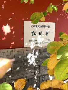 红螺寺求子太灵了,红螺寺求子太灵了好不好 第3张 红螺寺求子太灵了,红螺寺求子太灵了好不好 第3张