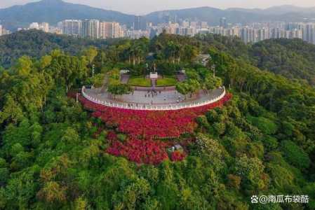 深圳最值得去的景点?深圳最值得去的景点排名榜? 第1张 深圳最值得去的景点?深圳最值得去的景点排名榜? 第1张