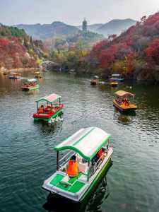 济南红叶谷景区,济南红叶谷景区好玩吗? 第1张 济南红叶谷景区,济南红叶谷景区好玩吗? 第1张