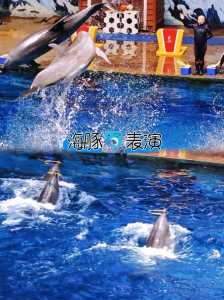 西安曲江海洋馆,西安曲江海洋馆门票费用表 第1张 西安曲江海洋馆,西安曲江海洋馆门票费用表 第1张