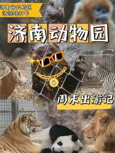 济南动物园门票5元?济南动物园门票5元多少张? 第4张 济南动物园门票5元?济南动物园门票5元多少张? 第4张