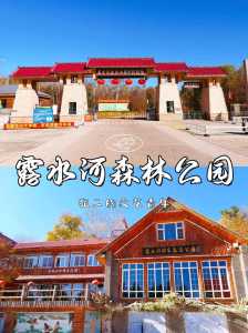 吉林市旅游攻略必玩的景点,吉林市旅游攻略必玩的景点免费 第1张 吉林市旅游攻略必玩的景点,吉林市旅游攻略必玩的景点免费 第1张