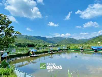 惠州红花湖景区?惠州红花湖景区介绍? 第3张 惠州红花湖景区?惠州红花湖景区介绍? 第3张