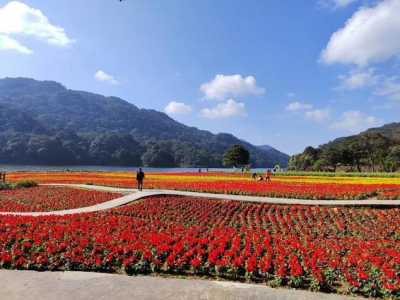 从化旅游景点一日游,从化旅游景点攻略 第3张 从化旅游景点一日游,从化旅游景点攻略 第3张