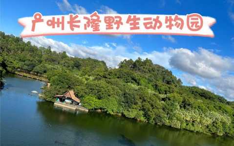 广州长隆野生动物园图片?广州长隆野生动物园图片大门口2024年? 第3张 广州长隆野生动物园图片?广州长隆野生动物园图片大门口2024年? 第3张