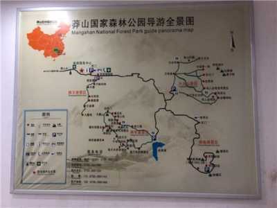 蟒山国家森林公园攻略?蟒山国家森林公园开门了吗? 第2张 蟒山国家森林公园攻略?蟒山国家森林公园开门了吗? 第2张