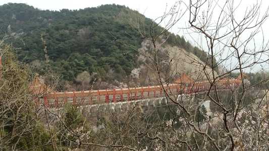 蟒山国家森林公园攻略?蟒山国家森林公园开门了吗? 第3张 蟒山国家森林公园攻略?蟒山国家森林公园开门了吗? 第3张