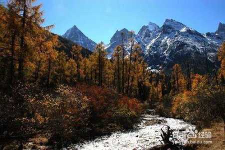 米亚罗风景区攻略?米亚罗景区在哪? 第2张 米亚罗风景区攻略?米亚罗景区在哪? 第2张