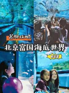 富国海底世界电话询问,富国海底世界 电话? 第4张 富国海底世界电话询问,富国海底世界 电话? 第4张