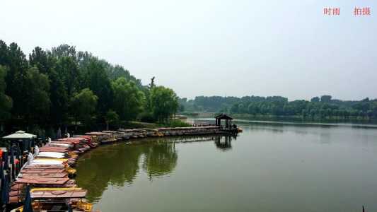 汉石桥湿地公园,汉石桥湿地公园可以带狗吗 第3张 汉石桥湿地公园,汉石桥湿地公园可以带狗吗 第3张