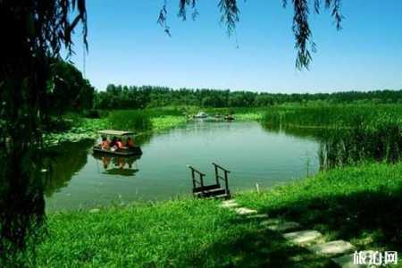 汉石桥湿地公园,汉石桥湿地公园可以带狗吗 第4张 汉石桥湿地公园,汉石桥湿地公园可以带狗吗 第4张