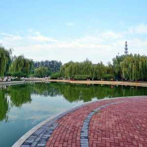 汉石桥湿地公园,汉石桥湿地公园可以带狗吗 第6张 汉石桥湿地公园,汉石桥湿地公园可以带狗吗 第6张