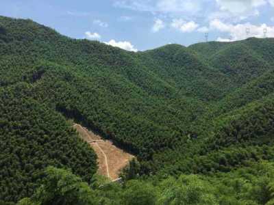 浙江安吉旅游景点,浙江安吉旅游景点攻略 第2张 浙江安吉旅游景点,浙江安吉旅游景点攻略 第2张