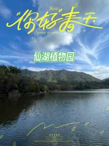 深圳仙湖植物园门票多少钱一张?深圳仙湖植物园怎么样好玩吗? 第1张 深圳仙湖植物园门票多少钱一张?深圳仙湖植物园怎么样好玩吗? 第1张