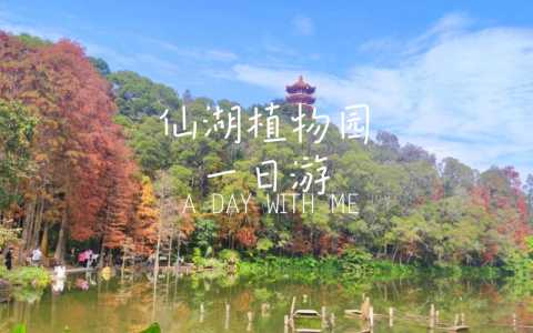 深圳仙湖植物园门票多少钱一张?深圳仙湖植物园怎么样好玩吗? 第3张 深圳仙湖植物园门票多少钱一张?深圳仙湖植物园怎么样好玩吗? 第3张